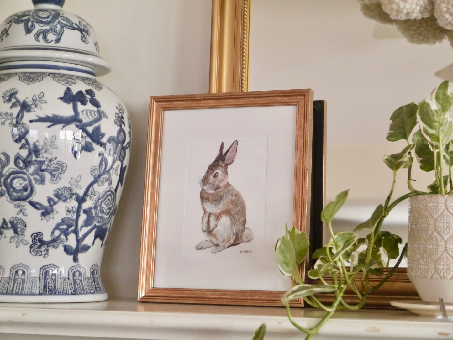 Sitting Eastern Cottontail Print