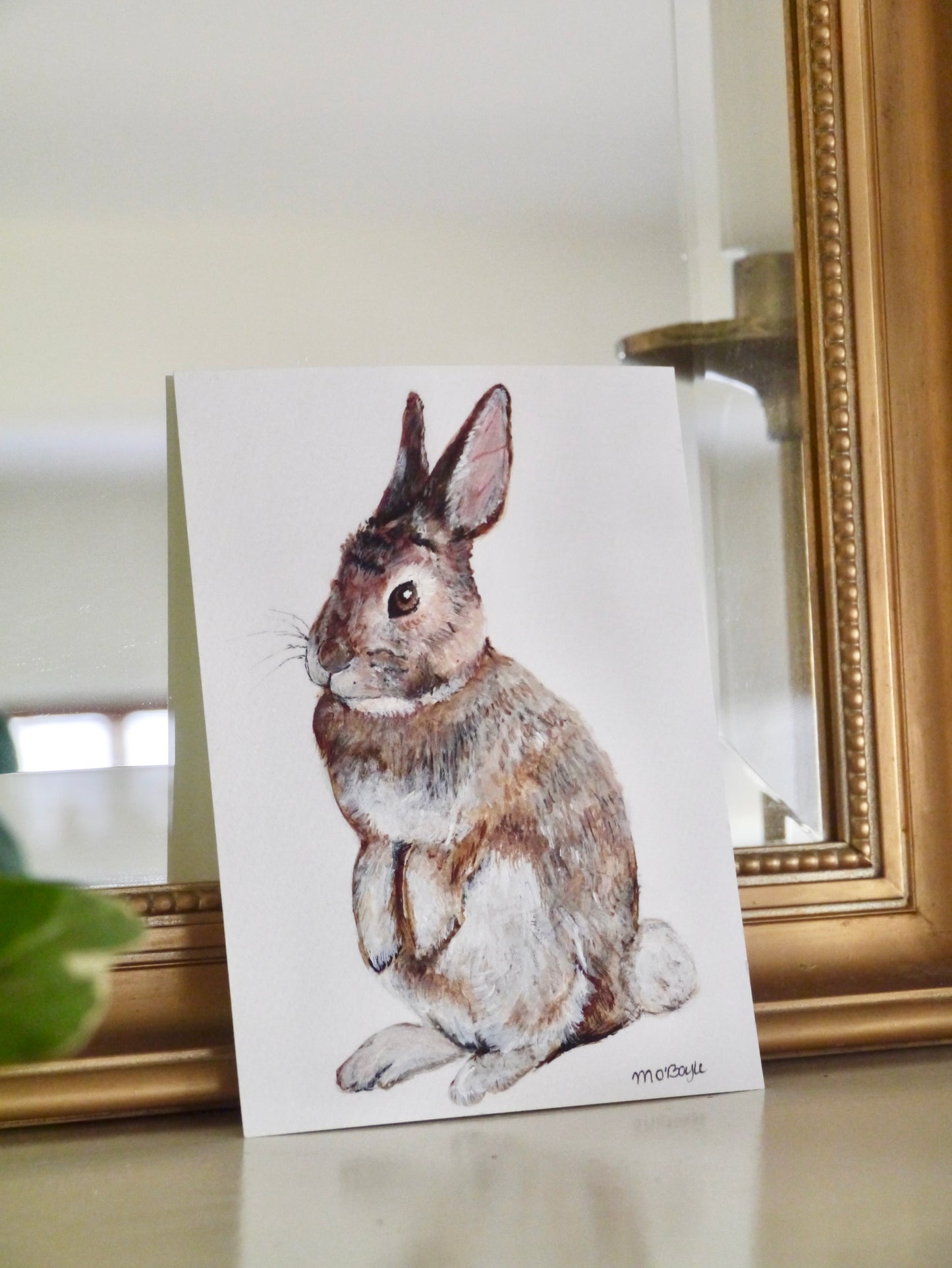 Sitting Eastern Cottontail Print