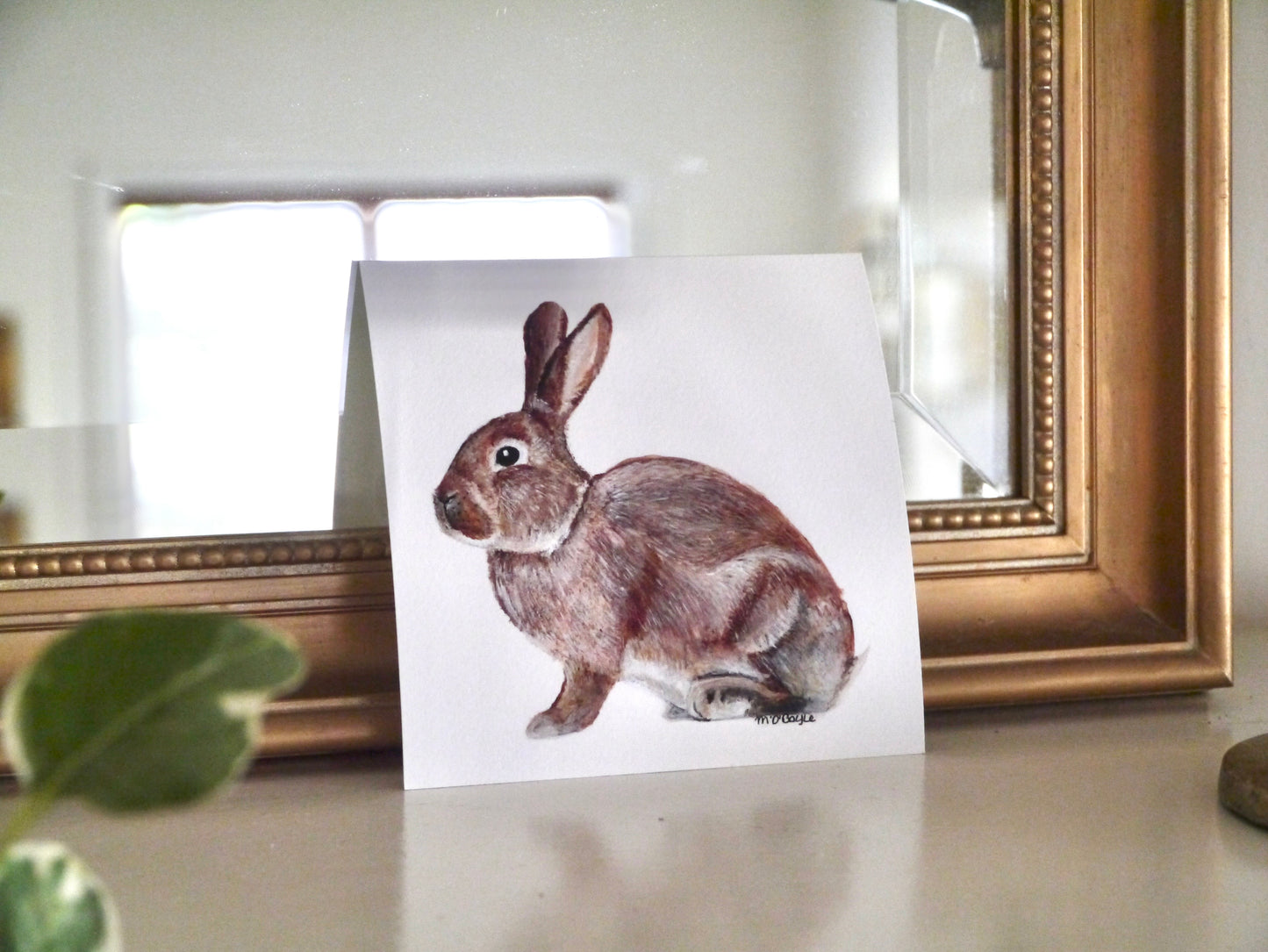 Eastern Cottontail Print