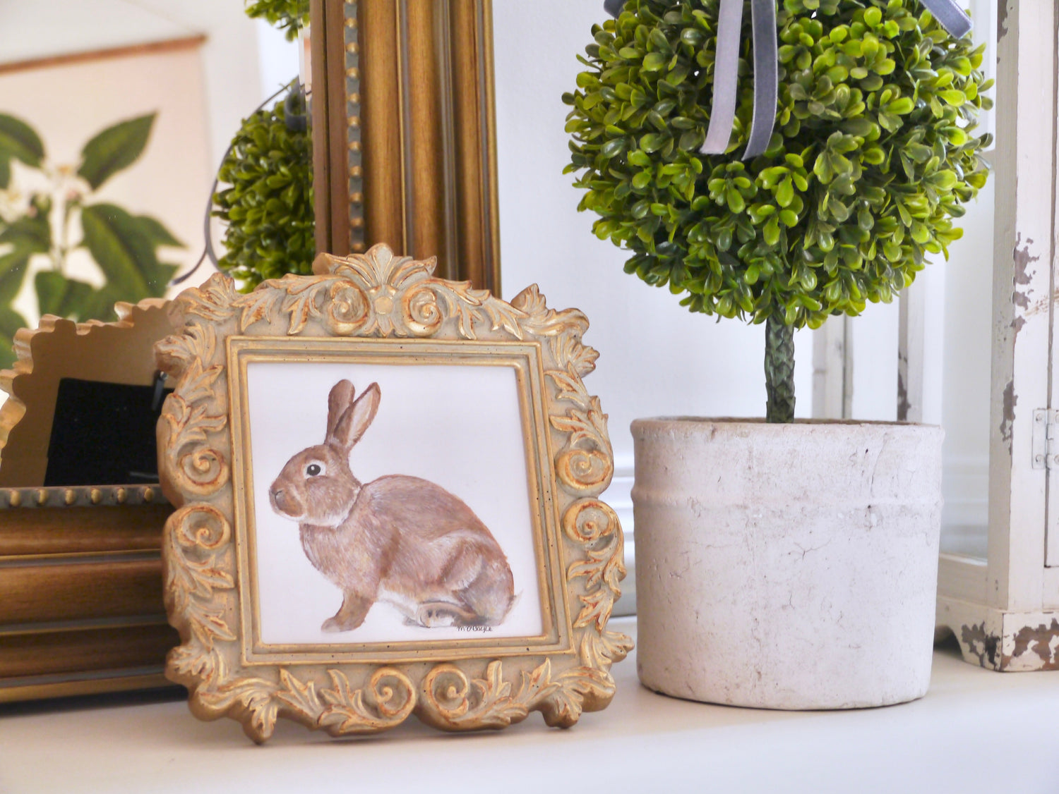 The Flora & Fauna Collection