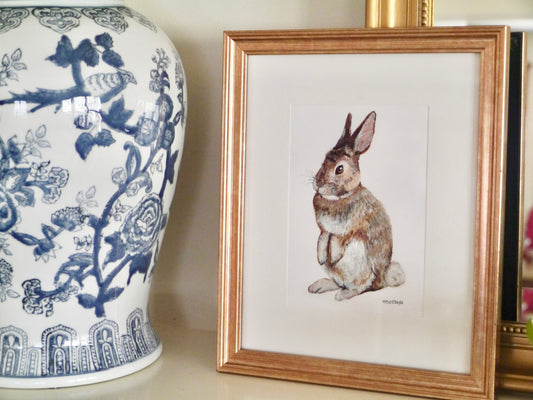 Sitting Eastern Cottontail Print